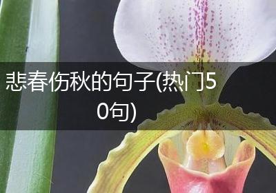悲春伤秋的句子(热门50句)