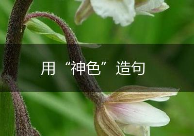用“神色”造句