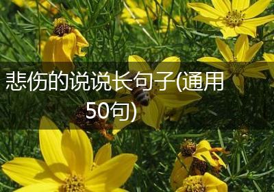 悲伤的说说长句子(通用50句)