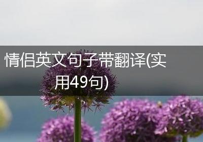 情侣英文句子带翻译(实用49句)