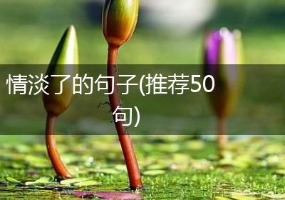 情淡了的句子(推荐50句)