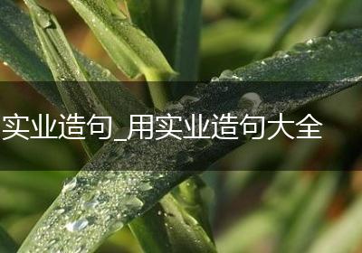 实业造句_用实业造句大全