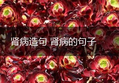 肾病造句 肾病的句子