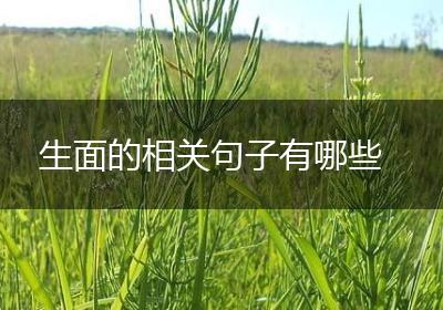 生面的相关句子有哪些