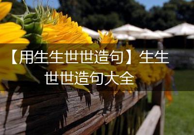 【用生生世世造句】生生世世造句大全