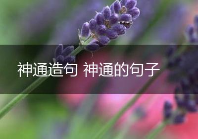 神通造句 神通的句子