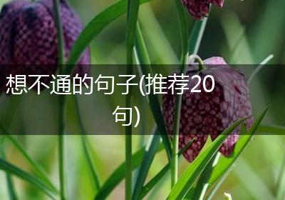 想不通的句子(推荐20句)
