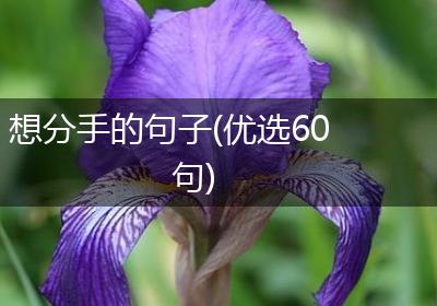 想分手的句子(优选60句)