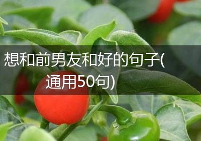 想和前男友和好的句子(通用50句)