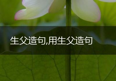 生父造句,用生父造句