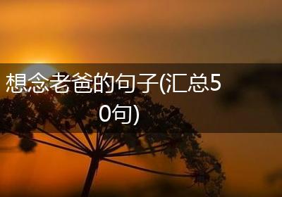 想念老爸的句子(汇总50句)