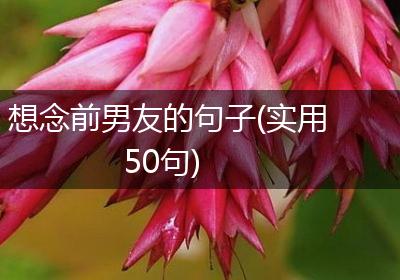 想念前男友的句子(实用50句)