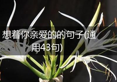 想着你亲爱的的句子(通用43句)