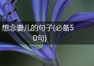 想念妻儿的句子(必备50句)