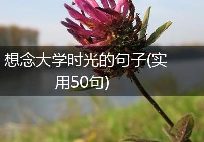 想念大学时光的句子(实用50句)