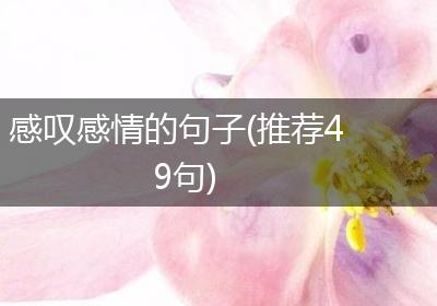 感叹感情的句子(推荐49句)