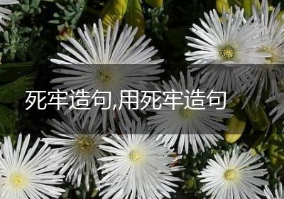 死牢造句,用死牢造句