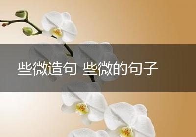 些微造句 些微的句子