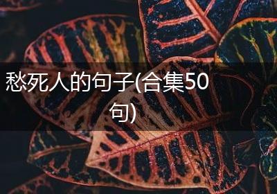 愁死人的句子(合集50句)