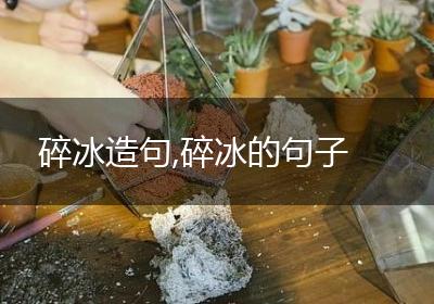 碎冰造句,碎冰的句子