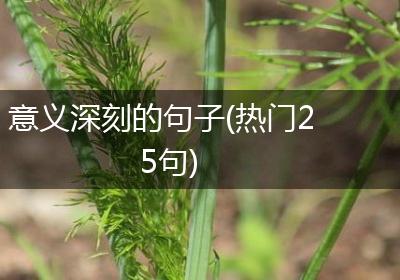 意义深刻的句子(热门25句)