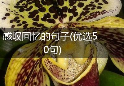 感叹回忆的句子(优选50句)