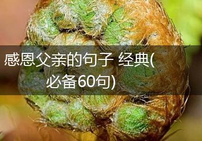 感恩父亲的句子 经典(必备60句)