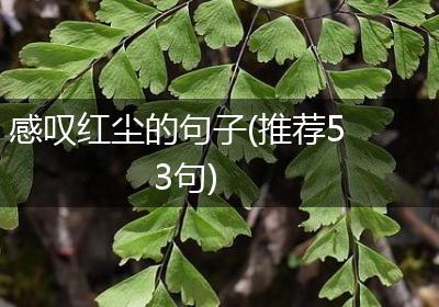 感叹红尘的句子(推荐53句)