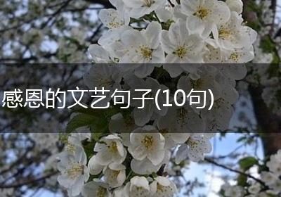 感恩的文艺句子(10句)
