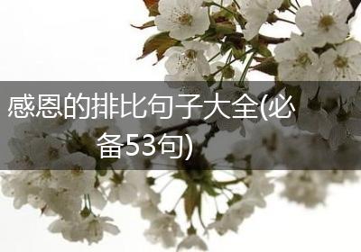 感恩的排比句子大全(必备53句)