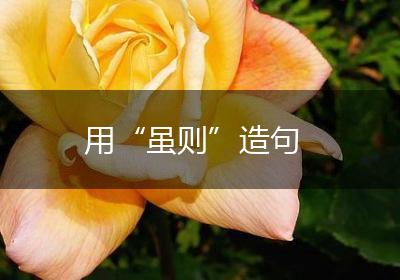 用“虽则”造句