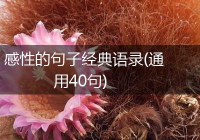 感性的句子经典语录(通用40句)
