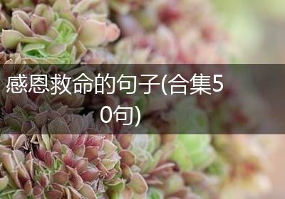 感恩救命的句子(合集50句)