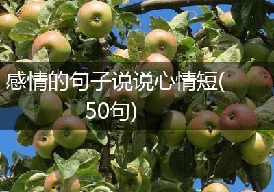 感情的句子说说心情短(50句)
