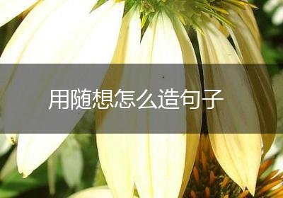 用随想怎么造句子