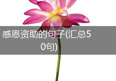 感恩资助的句子(汇总50句)