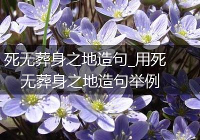 死无葬身之地造句_用死无葬身之地造句举例