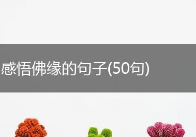 感悟佛缘的句子(50句)