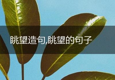 眺望造句,眺望的句子