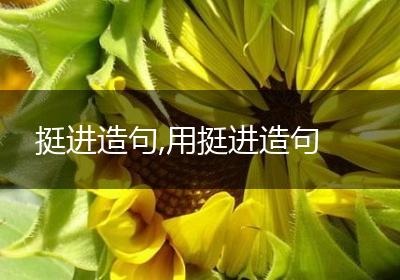 挺进造句,用挺进造句