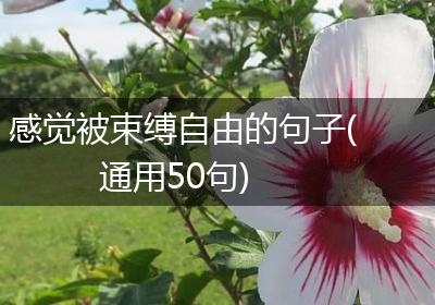 感觉被束缚自由的句子(通用50句)