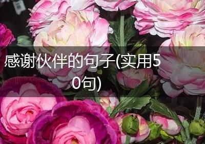 感谢伙伴的句子(实用50句)