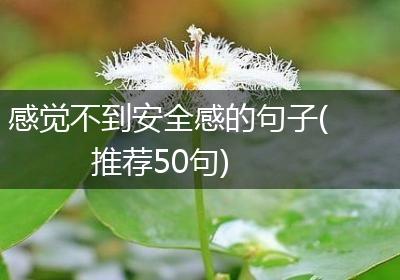 感觉不到安全感的句子(推荐50句)