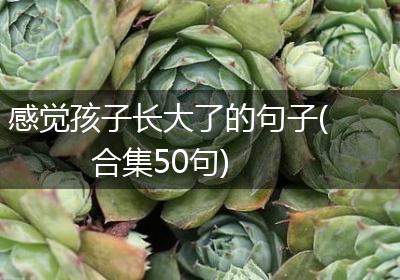 感觉孩子长大了的句子(合集50句)