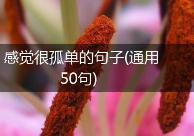 感觉很孤单的句子(通用50句)