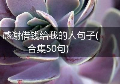 感谢借钱给我的人句子(合集50句)