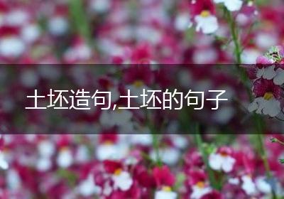 土坯造句,土坯的句子