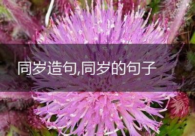 同岁造句,同岁的句子