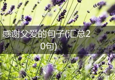 感谢父爱的句子(汇总20句)
