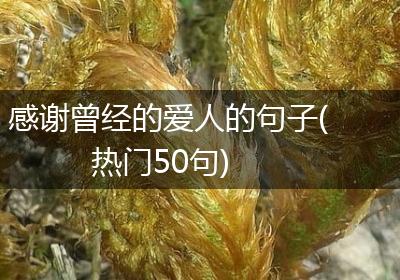 感谢曾经的爱人的句子(热门50句)